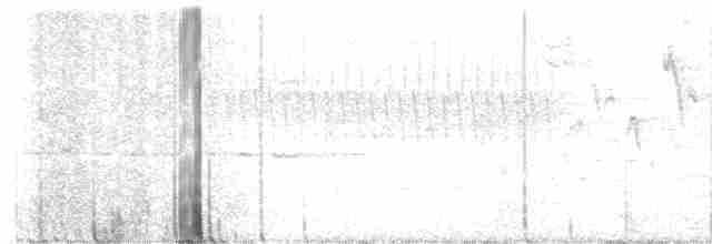 Nashville Warbler - ML618097281