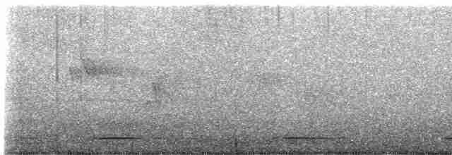 Пестроклювая поганка - ML618097512