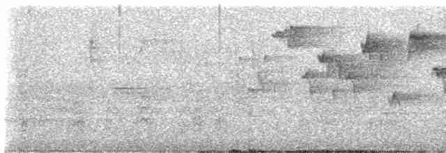 Тихоокеанский крапивник - ML618099035