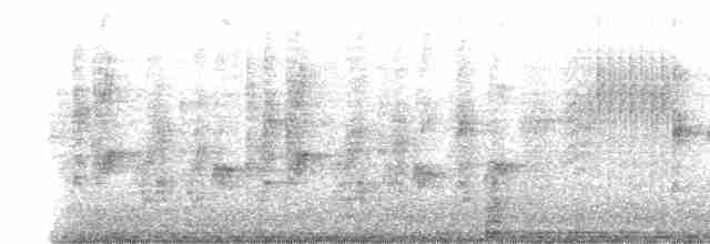 vlaštovka obecná - ML618099121