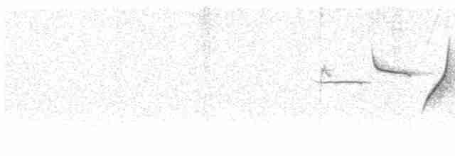 Черногорлая малая овсянка - ML618100554