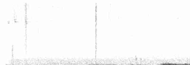 Юнко сірий (підвид caniceps) - ML618100674