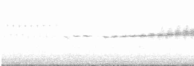 Prairie Warbler - ML618101318