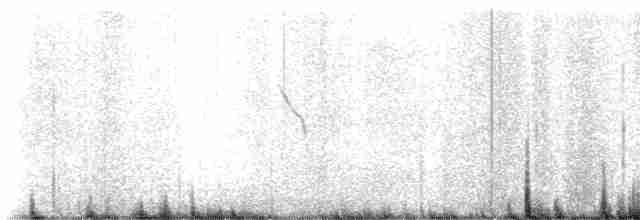 Plectrophane lapon - ML618101510