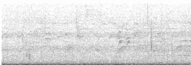 Soluk Göğüslü Ardıç - ML618101862