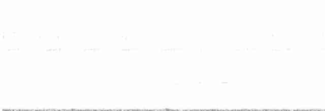 Damla Sırtlı Karıncaavcısı - ML618101966