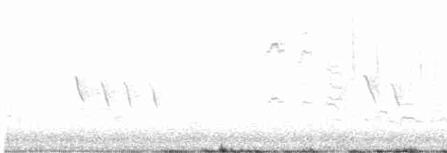 Black-throated Green Warbler - ML618102284