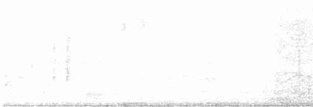 kondor krocanovitý - ML618102433