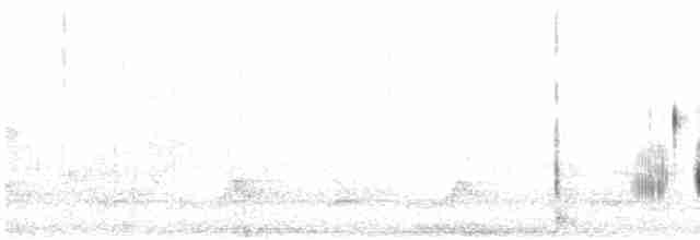 Приморская овсянка-барсучок (maritima/macgillivraii) - ML618103220