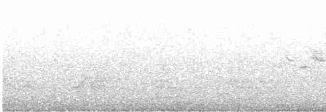 Black-throated Gray Warbler - ML618104166