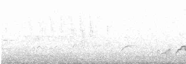 オリーブチャツグミ - ML618105236