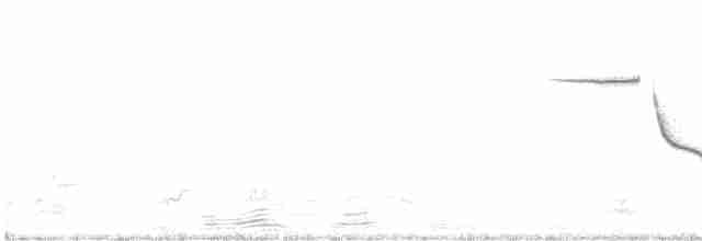 Черногорлая малая овсянка - ML618105655