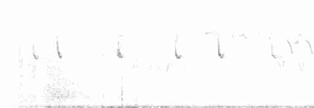 Черногорлая малая овсянка - ML618105656