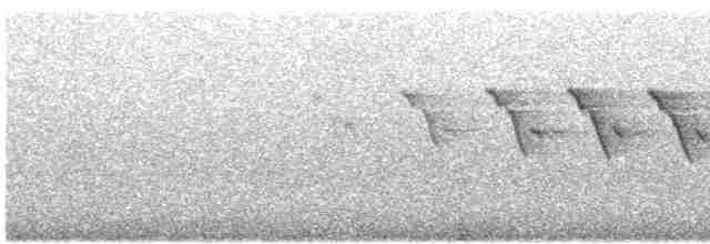 Yellow-throated Warbler - ML618105807