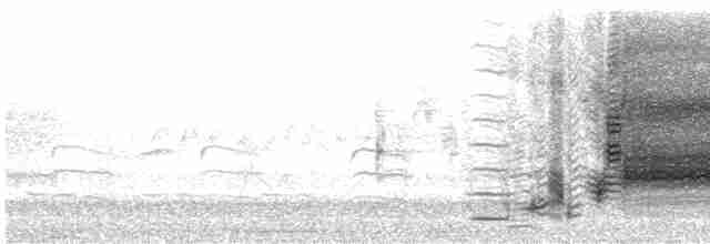 vlhovec červenokřídlý [skupina phoeniceus] - ML618106493