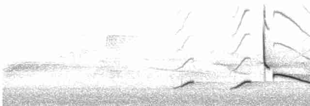 rødkardinal (cardinalis gr.) - ML618106989