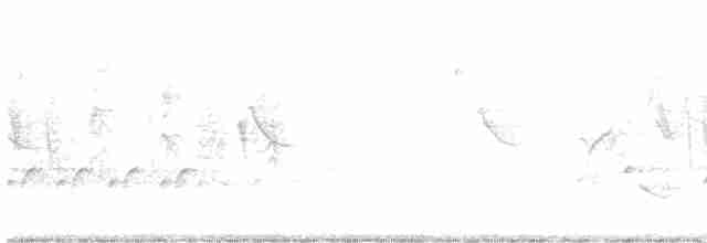 Sarı Karınlı Sinekkapan - ML618111697