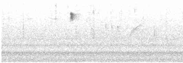 Amerika Tırmaşıkkuşu (albescens/alticola) - ML618113113