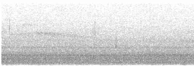 Серогрудый тиранн - ML618113282