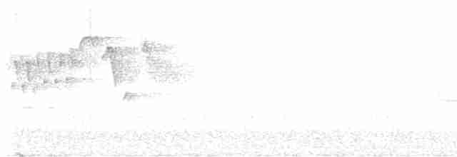 Тихоокеанский крапивник - ML618113718