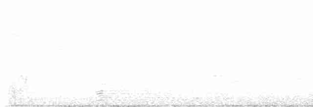 אווז לבן-מצח - ML618113969