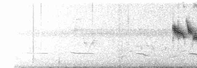 Gray-crowned Yellowthroat - ML618115137