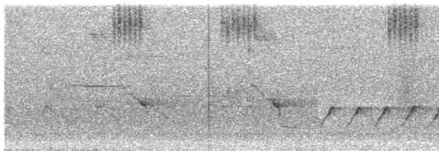 Yakut Boğazlı Kolibri - ML618115271
