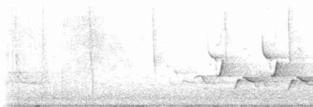 Karolina Çıtkuşu - ML618115967