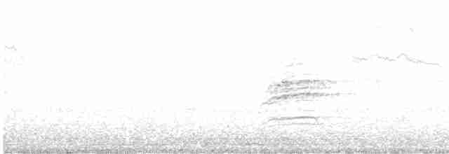 Дрізд-короткодзьоб плямистоволий - ML618117381