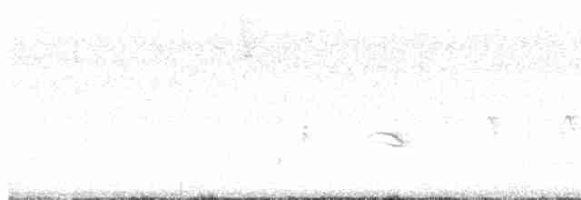 Oriole des vergers - ML618118534