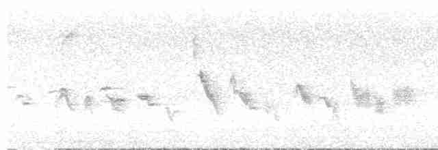 Oriole des vergers - ML618118535