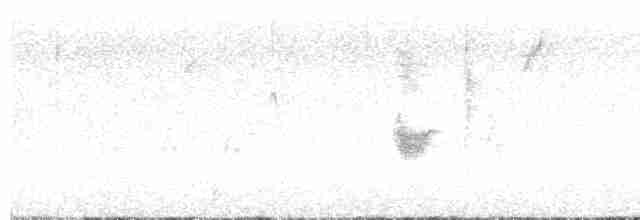 Oriole des vergers - ML618118536
