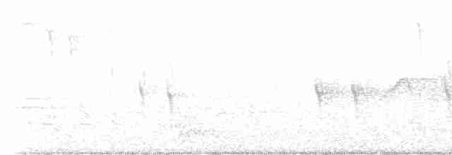 Шишкар ялиновий - ML618119028