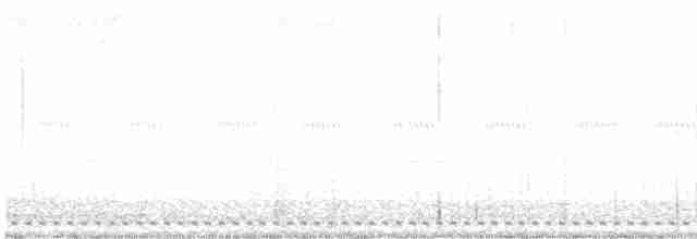 Texasnachtschwalbe - ML618119126