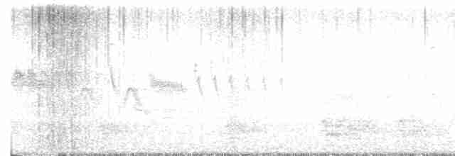 Turuncu Ardıç - ML618119498