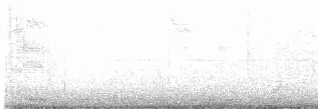 lesňáček modrokřídlý - ML618119783