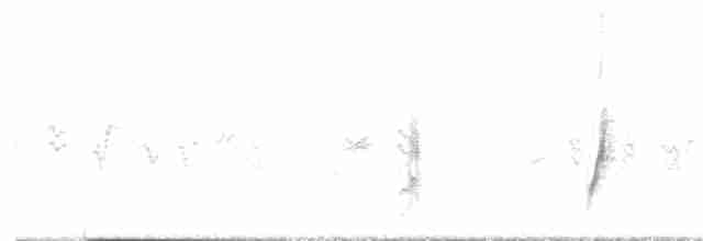 Кривоклювый пересмешник - ML618119795