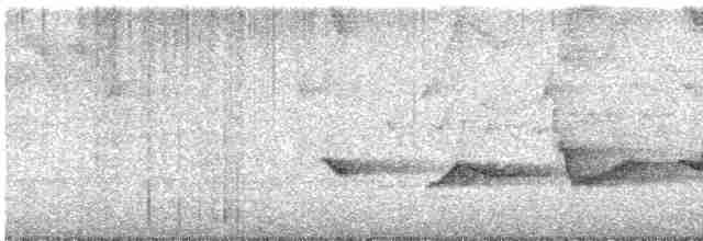 Чернокрылая пиранга - ML618120312
