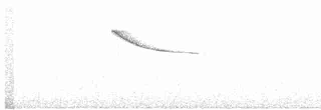 Eurasian Penduline-Tit - ML618120587