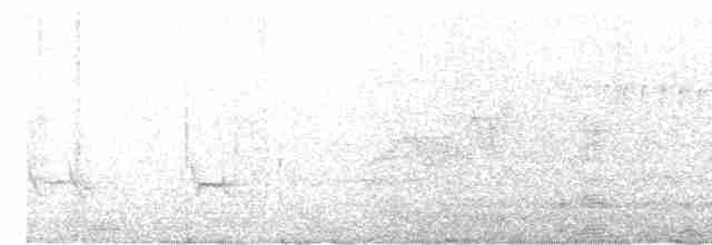 Paruline à gorge noire - ML618122019