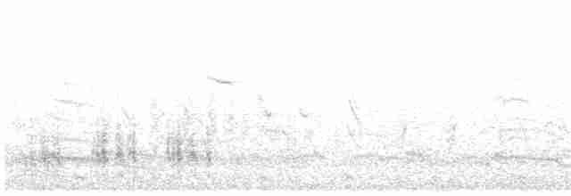 Great Reed Warbler - ML618122753
