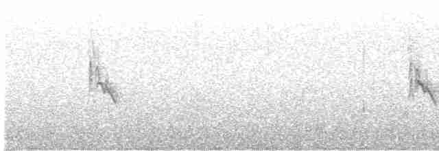 Белокрылая канделита - ML618123145