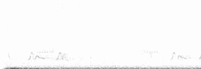 Carolinanachtschwalbe - ML618126905