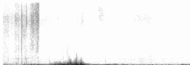 Опоясанный зимородок - ML618127113
