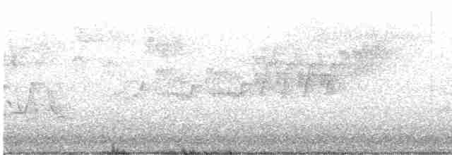 Cerulean Warbler - ML618128224