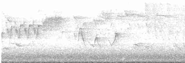 Cerulean Warbler - ML618128290