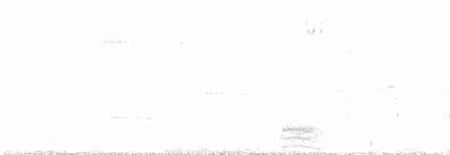 morčák chocholatý - ML618128496