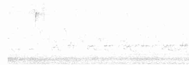 Sinsonte Norteño - ML618128796