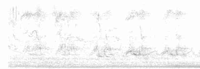 hrdlička kropenatá - ML618129088