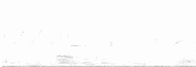 morčák chocholatý - ML618129268